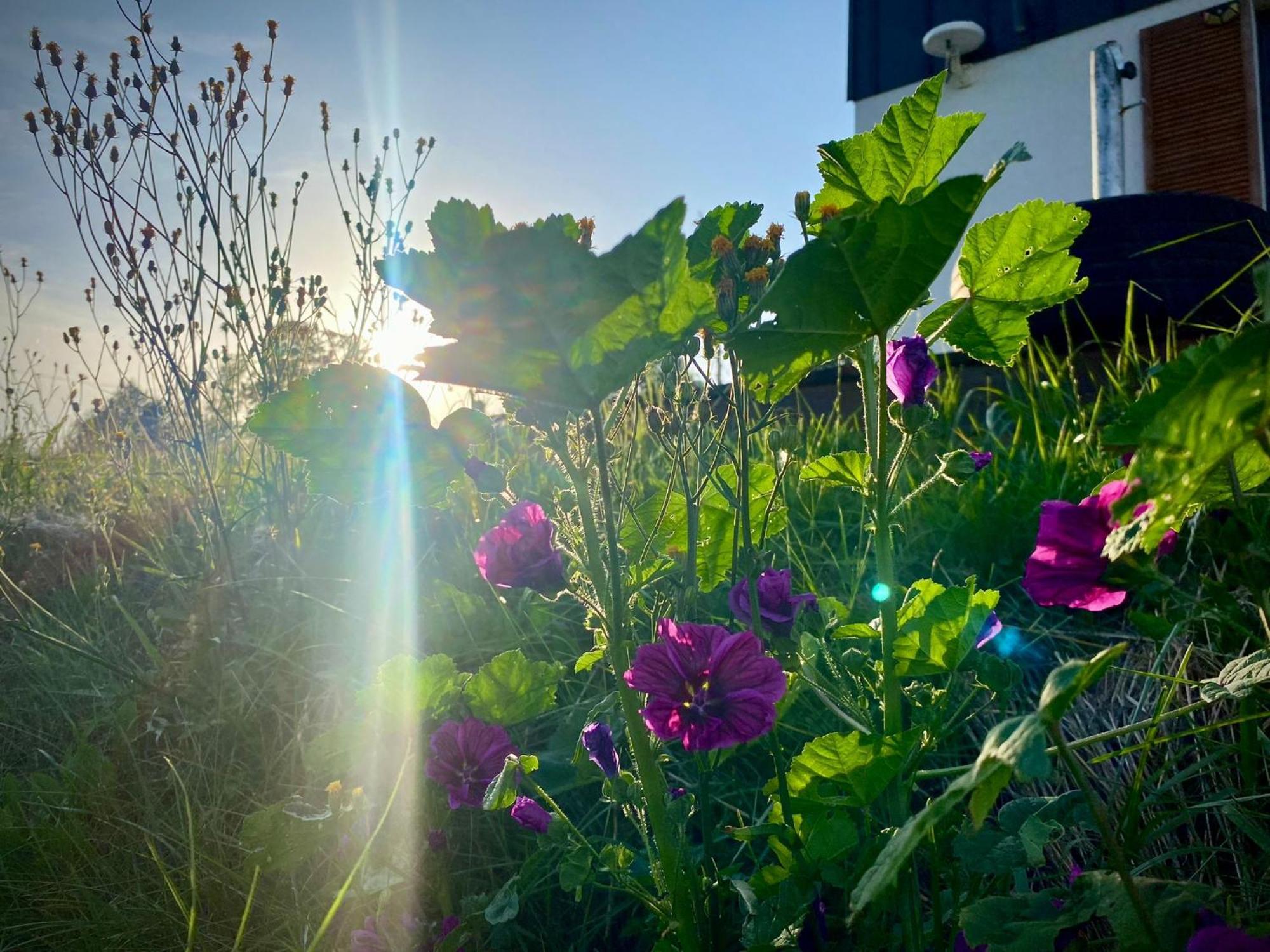 Domki Blisko Nieba III Wisla Bagian luar foto
